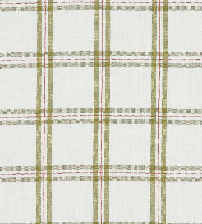 Kelmscott Fabric by Clarke & Clarke Olive