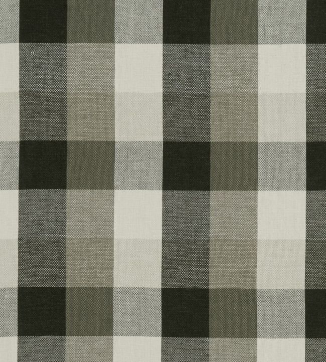 Austin Check Fabric by Clarke & Clarke Charcoal