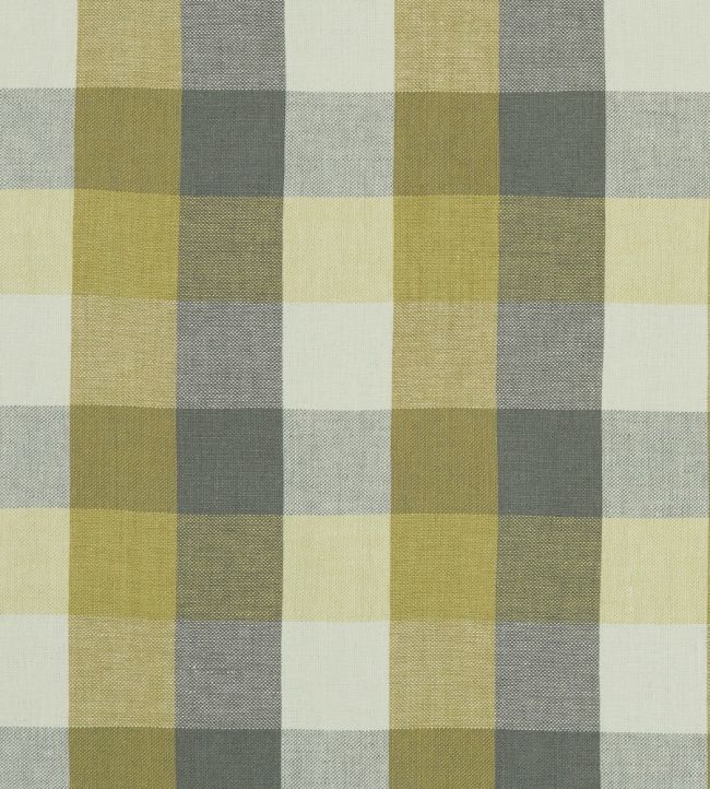 Austin Check Fabric by Clarke & Clarke Citron/Natural