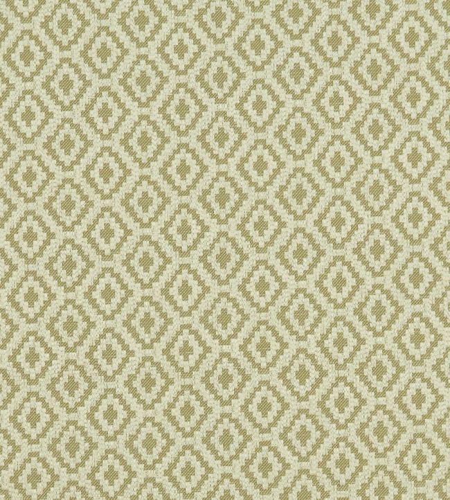 Keaton Fabric by Clarke & Clarke Olive