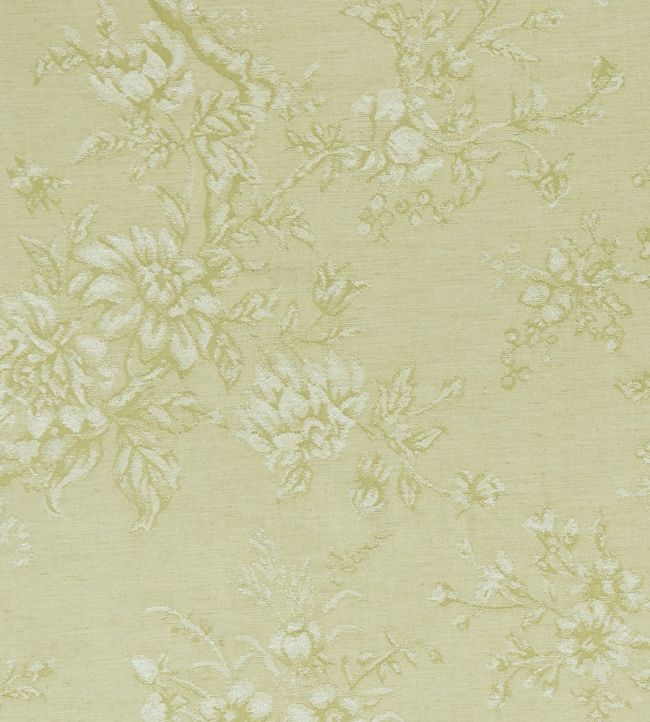 Simone Fabric by Clarke & Clarke Citron