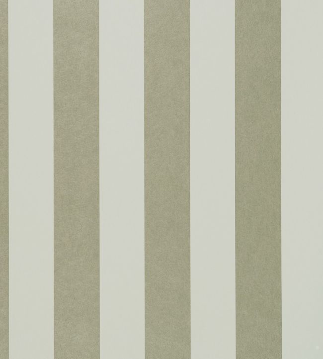 Nevis Wallpaper by Clarke & Clarke Nickel