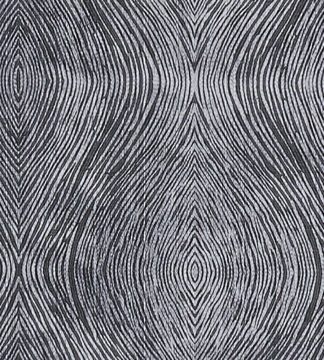 Luster Fabric by Clarke & Clarke Charcoal
