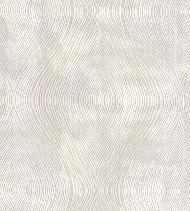 Luster Fabric by Clarke & Clarke Ivory
