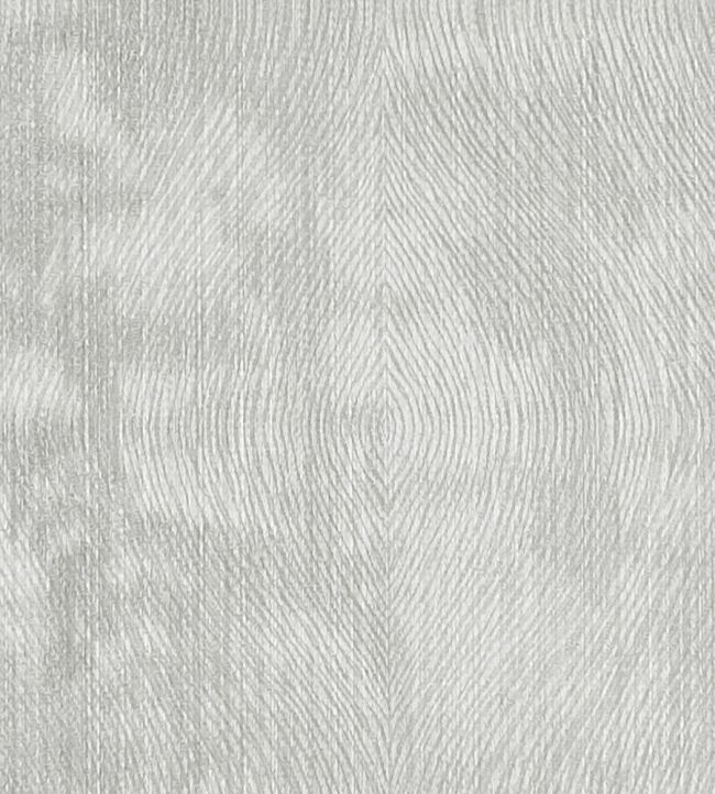 Luster Fabric by Clarke & Clarke Silver