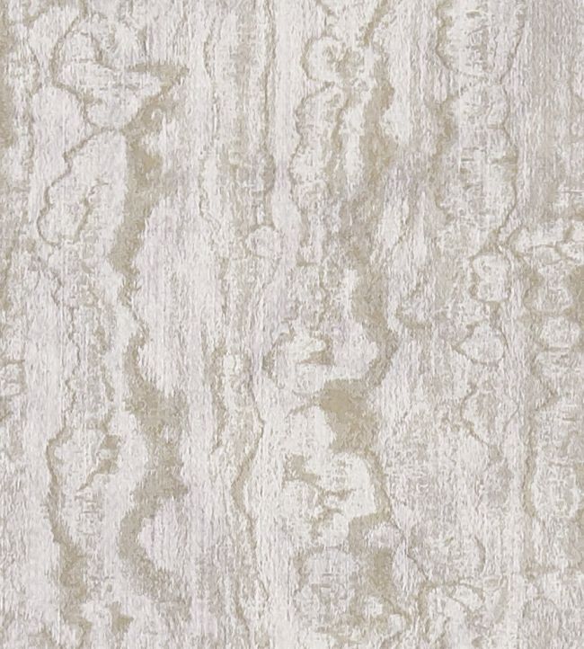 Mystic Fabric by Clarke & Clarke Mocha