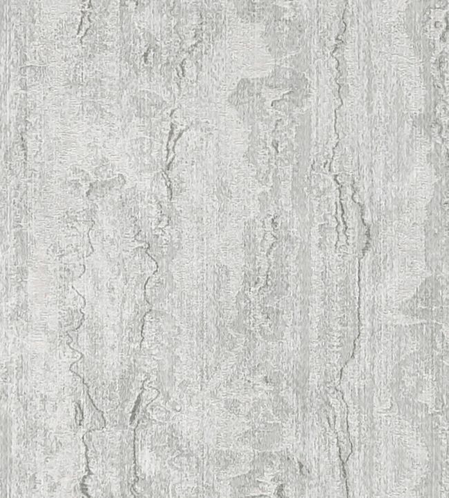 Mystic Fabric by Clarke & Clarke Silver