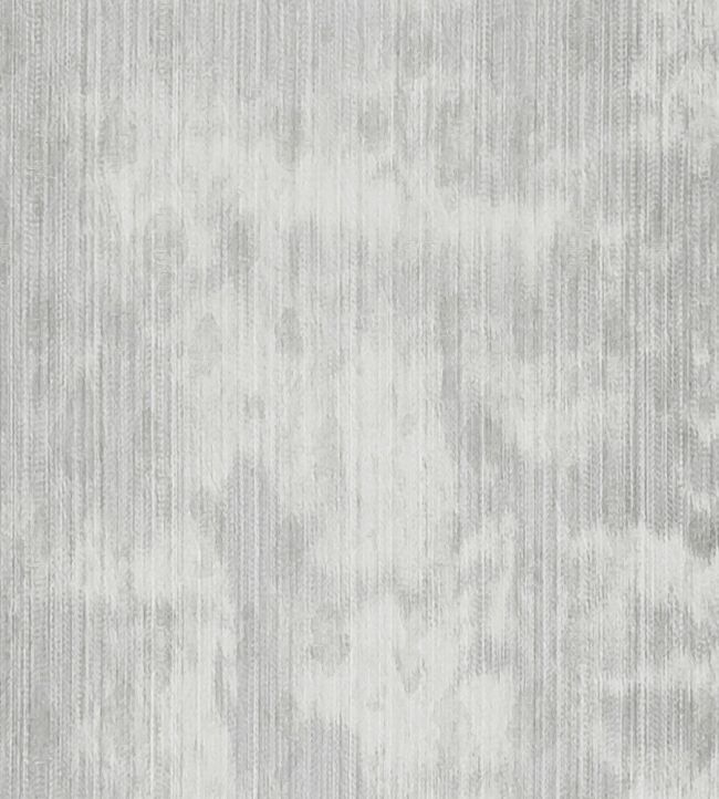 Sirocco Fabric by Clarke & Clarke Silver