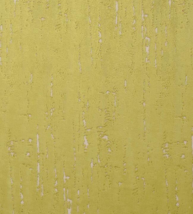 Aurora Fabric by Clarke & Clarke Citrus