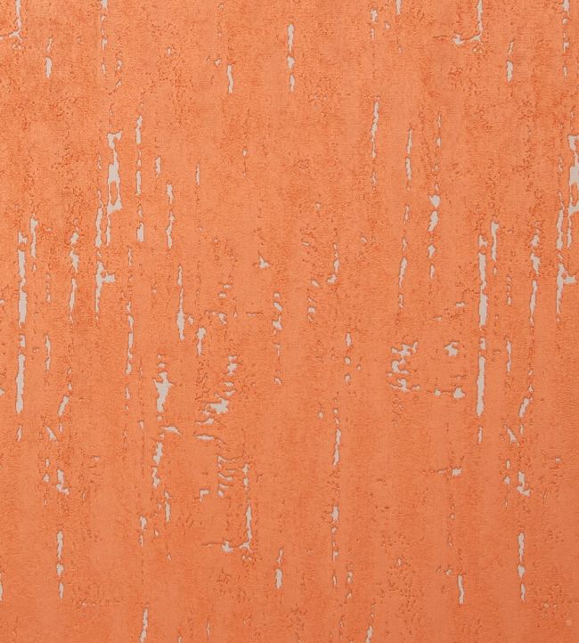 Aurora Fabric by Clarke & Clarke Spice