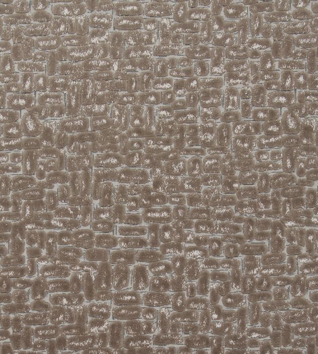 Moda Fabric by Clarke & Clarke Taupe