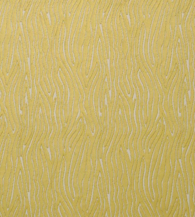 Onda Fabric by Clarke & Clarke Citrus