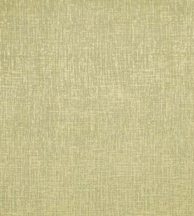 Patina Fabric by Clarke & Clarke Citrus
