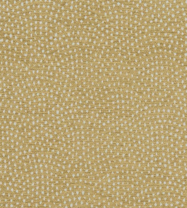 Nebula Fabric by Clarke & Clarke Antique