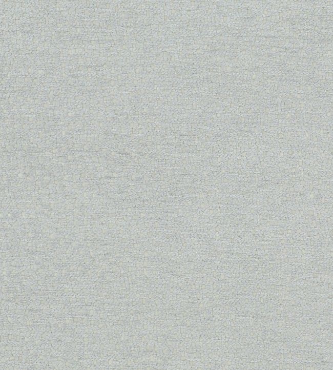 Nebula Fabric by Clarke & Clarke Dove