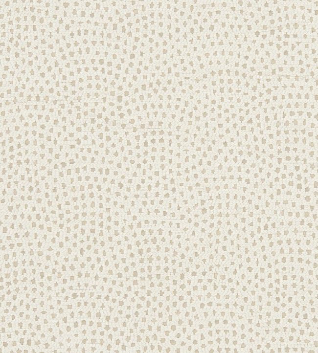 Nebula Fabric by Clarke & Clarke Ivory