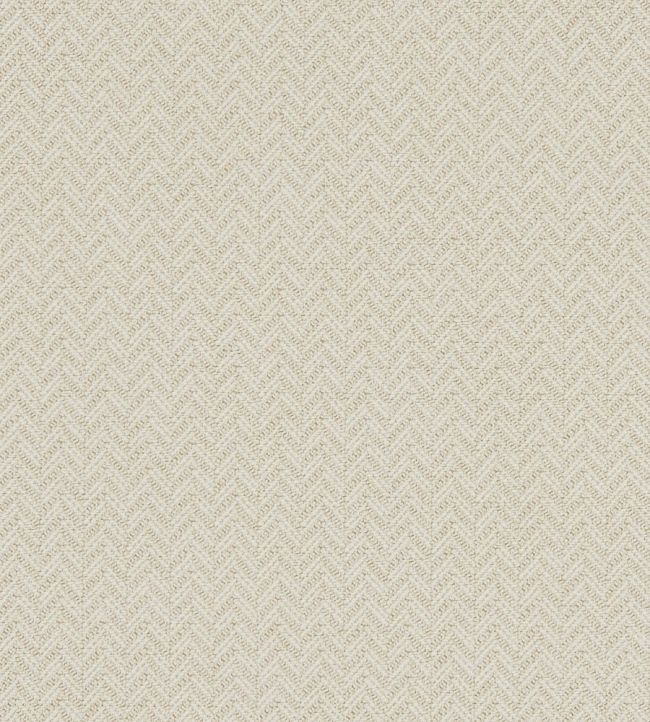 Trinity Fabric by Clarke & Clarke Ivory