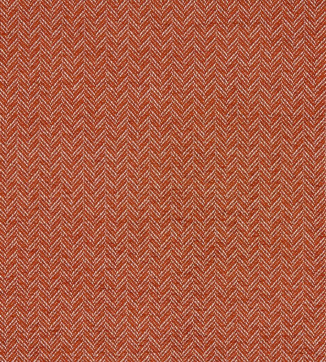 Trinity Fabric by Clarke & Clarke Spice