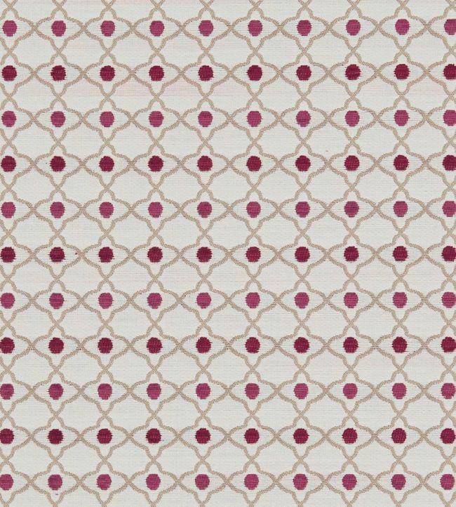Venus Fabric by Clarke & Clarke Raspberry