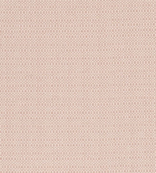 Kauai Fabric by Clarke & Clarke Blush
