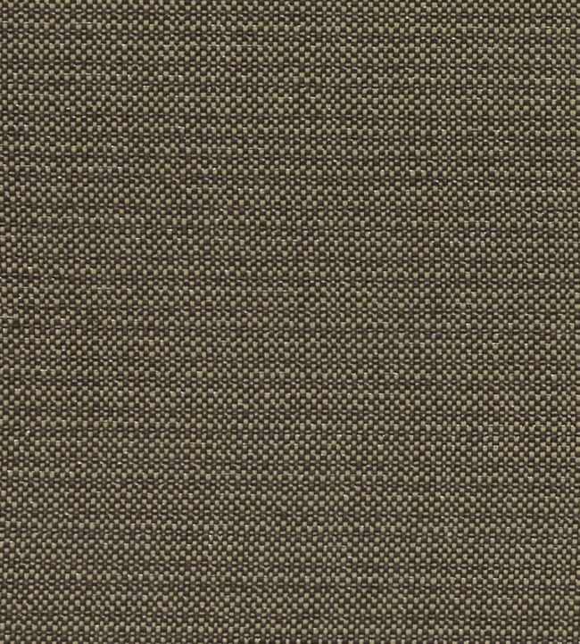 Kauai Fabric by Clarke & Clarke Charcoal