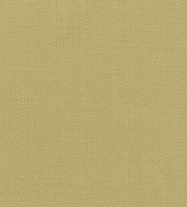 Kauai Fabric by Clarke & Clarke Citron