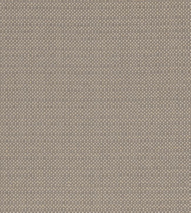 Kauai Fabric by Clarke & Clarke Mocha