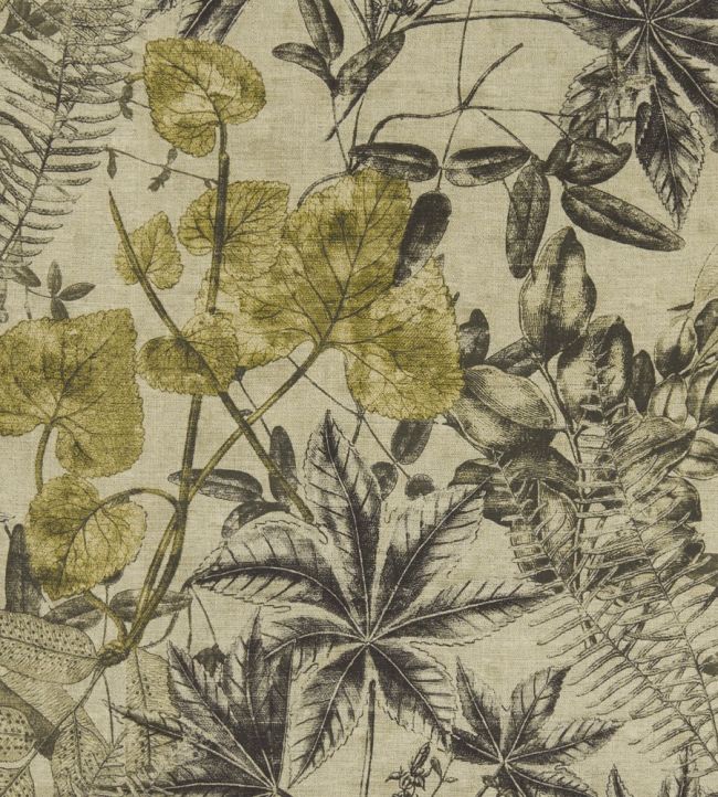 Madagascar Fabric by Clarke & Clarke Charcoal / Chartreuse