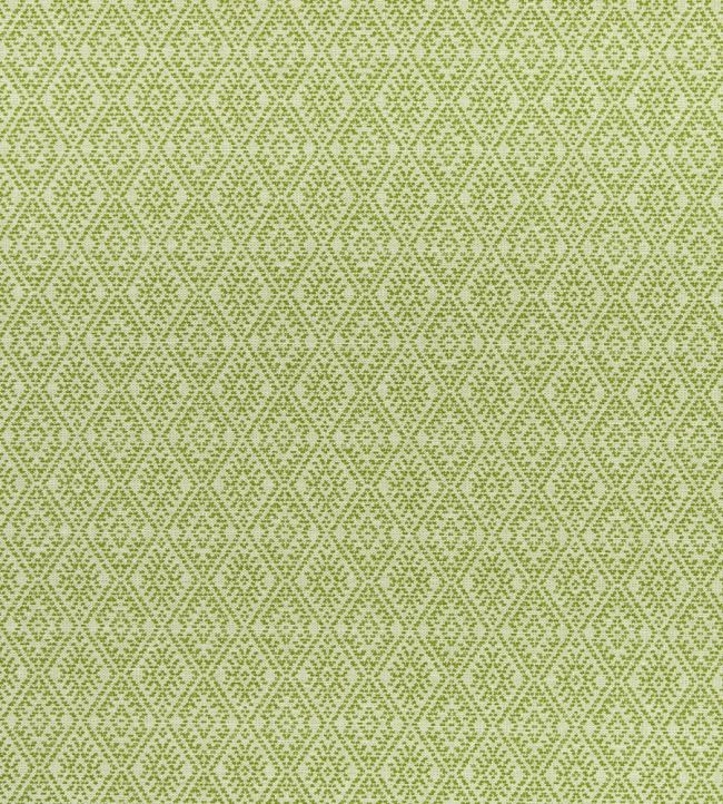 Hampstead Fabric by Clarke & Clarke Apple