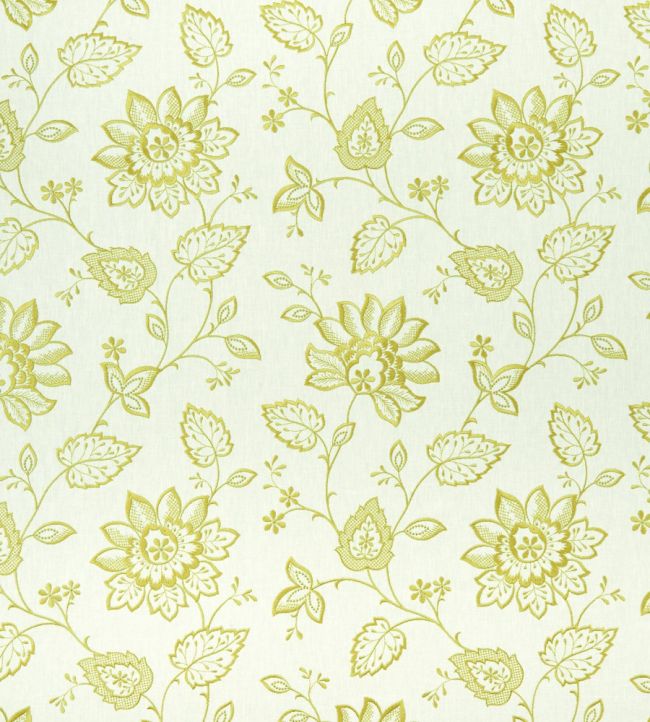 Liliana Fabric by Clarke & Clarke Apple