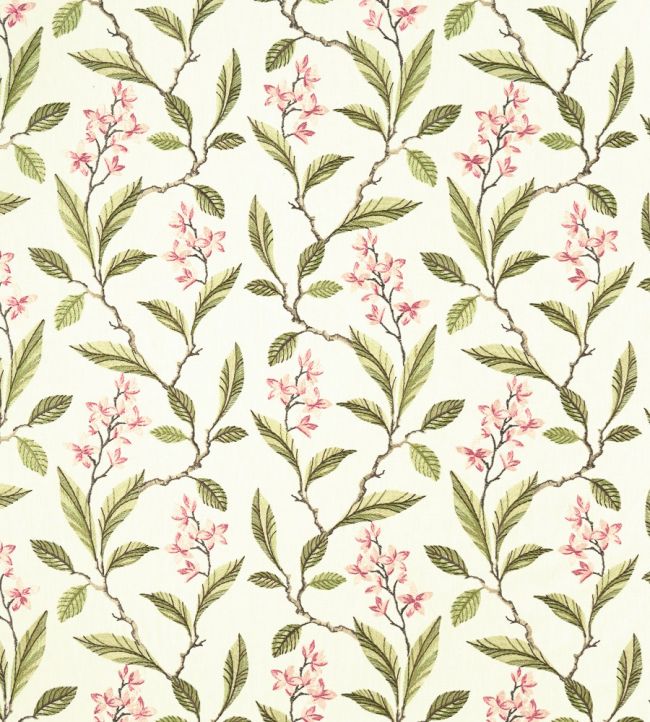 Melrose Fabric by Clarke & Clarke Pink / Apple