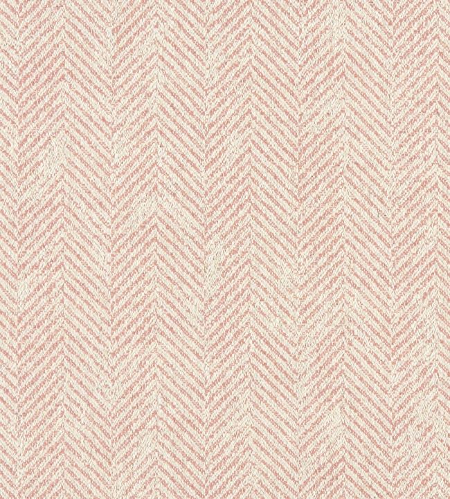 Ashmore Fabric by Clarke & Clarke Blush