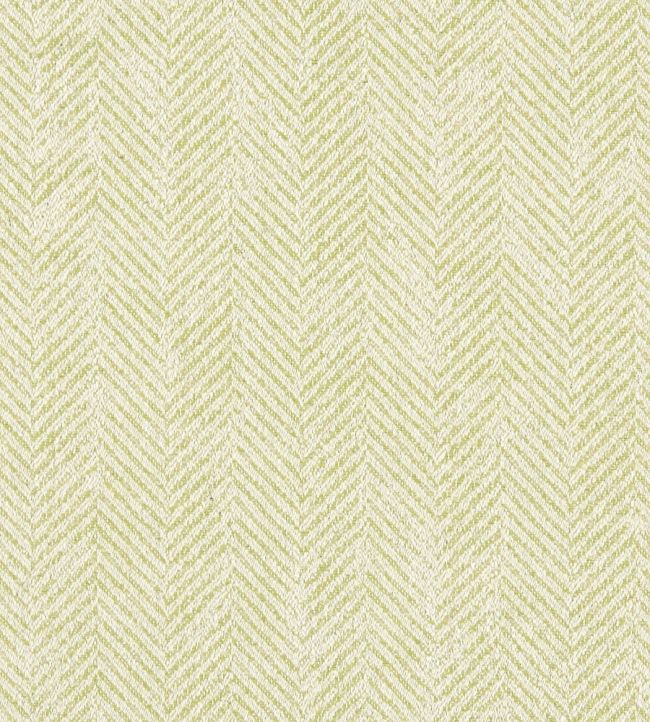 Ashmore Fabric by Clarke & Clarke Citron
