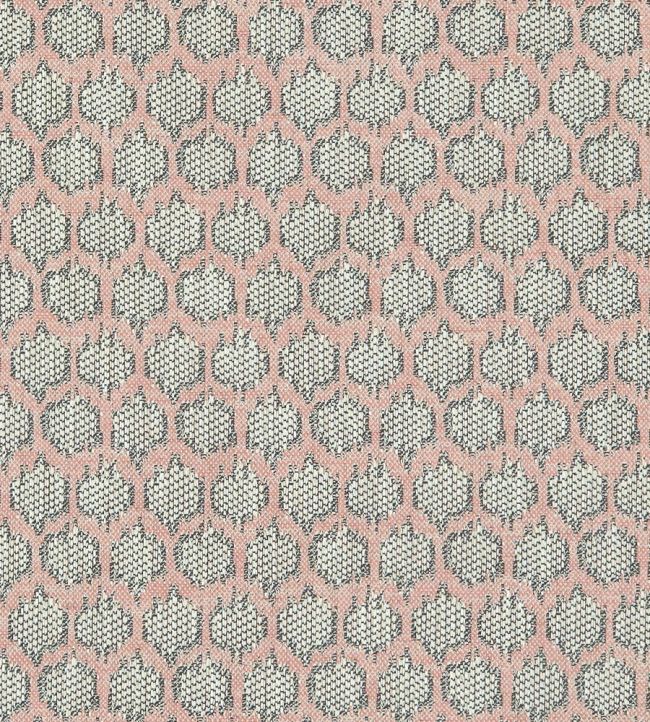 Dorset Fabric by Clarke & Clarke Blush
