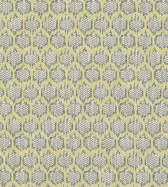 Dorset Fabric by Clarke & Clarke Citron
