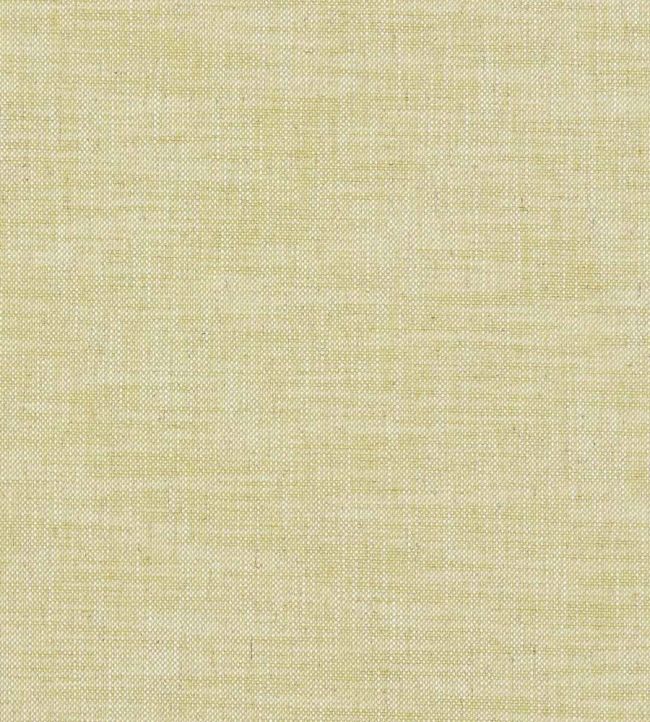 Milton Fabric by Clarke & Clarke Citron