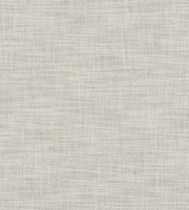 Milton Fabric by Clarke & Clarke Dove