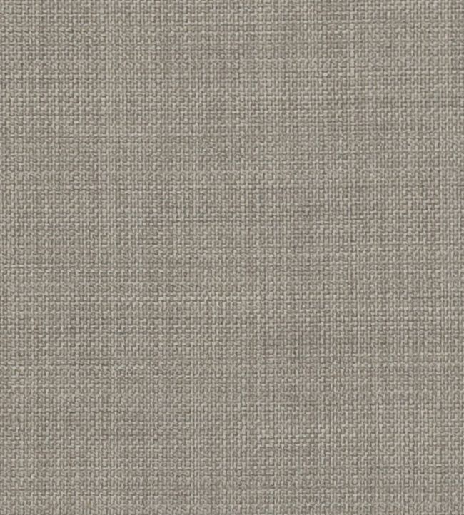 Linoso II Fabric by Clarke & Clarke Ash
