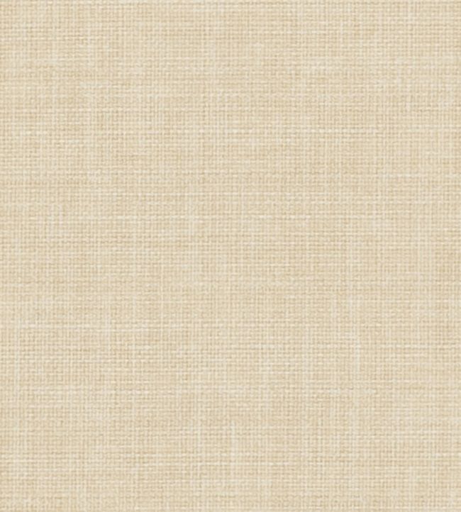 Linoso II Fabric by Clarke & Clarke Buff