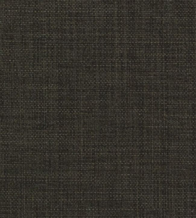 Linoso II Fabric by Clarke & Clarke Charcoal