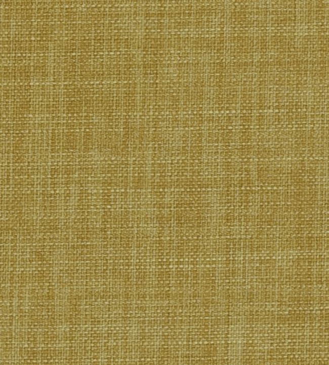 Linoso II Fabric by Clarke & Clarke Citrus