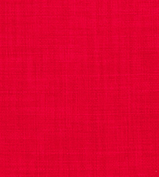 Linoso II Fabric by Clarke & Clarke Cranberry