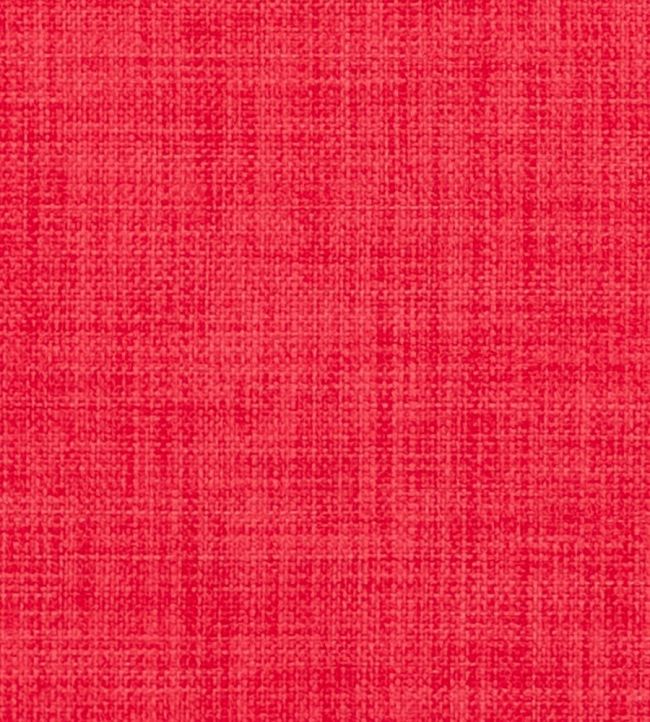 Linoso II Fabric by Clarke & Clarke Garnet