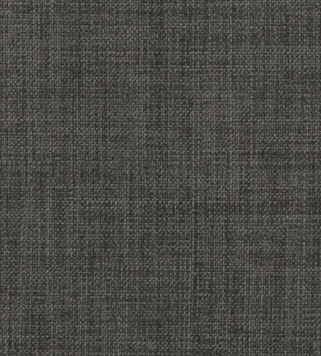 Linoso II Fabric by Clarke & Clarke Graphite