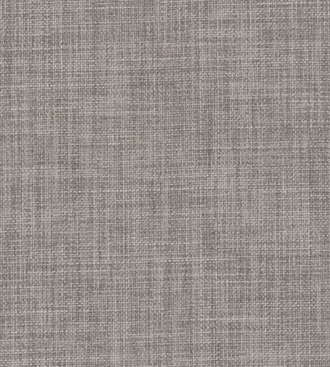 Linoso II Fabric by Clarke & Clarke Grey