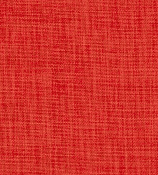 Linoso II Fabric by Clarke & Clarke Spice