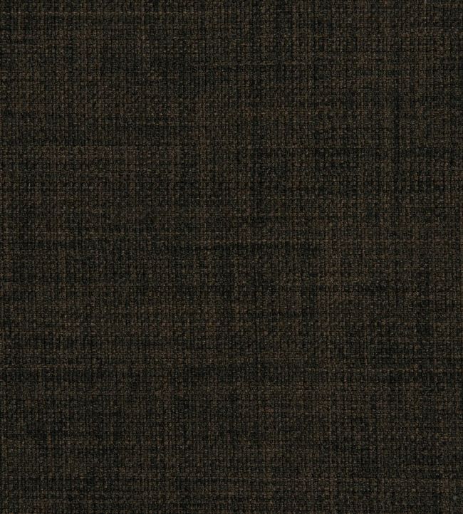 Linoso II Fabric by Clarke & Clarke Earth