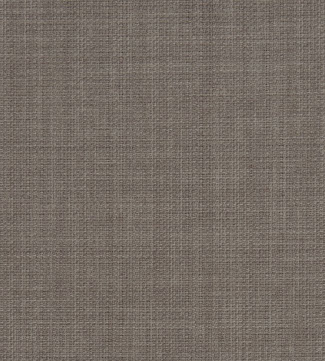 Linoso II Fabric by Clarke & Clarke Mink