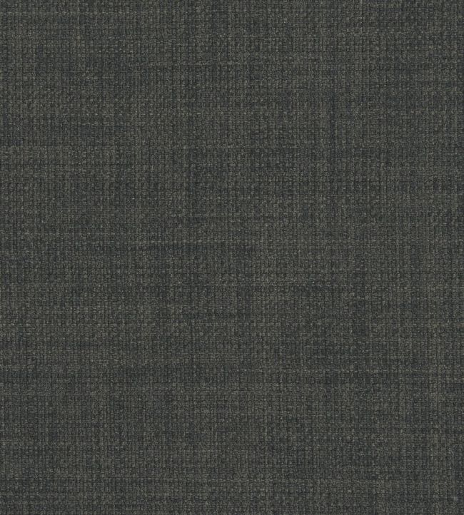 Linoso II Fabric by Clarke & Clarke Smoke