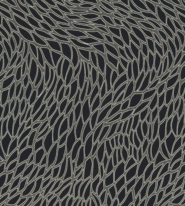 Corallino Fabric by Clarke & Clarke Nero